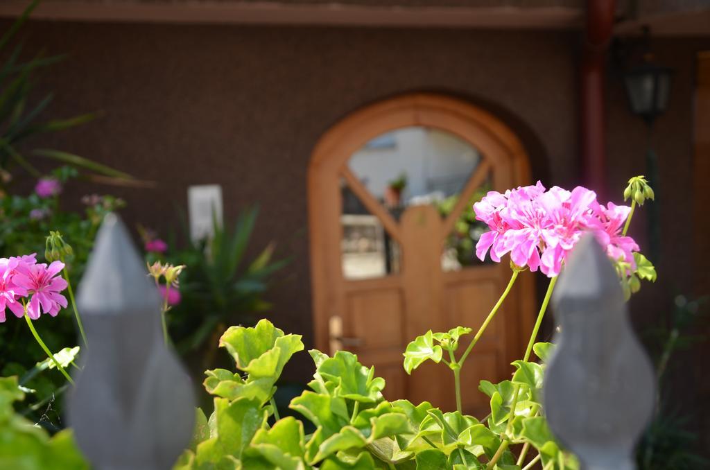 Villa Caci Ohrid Exteriör bild